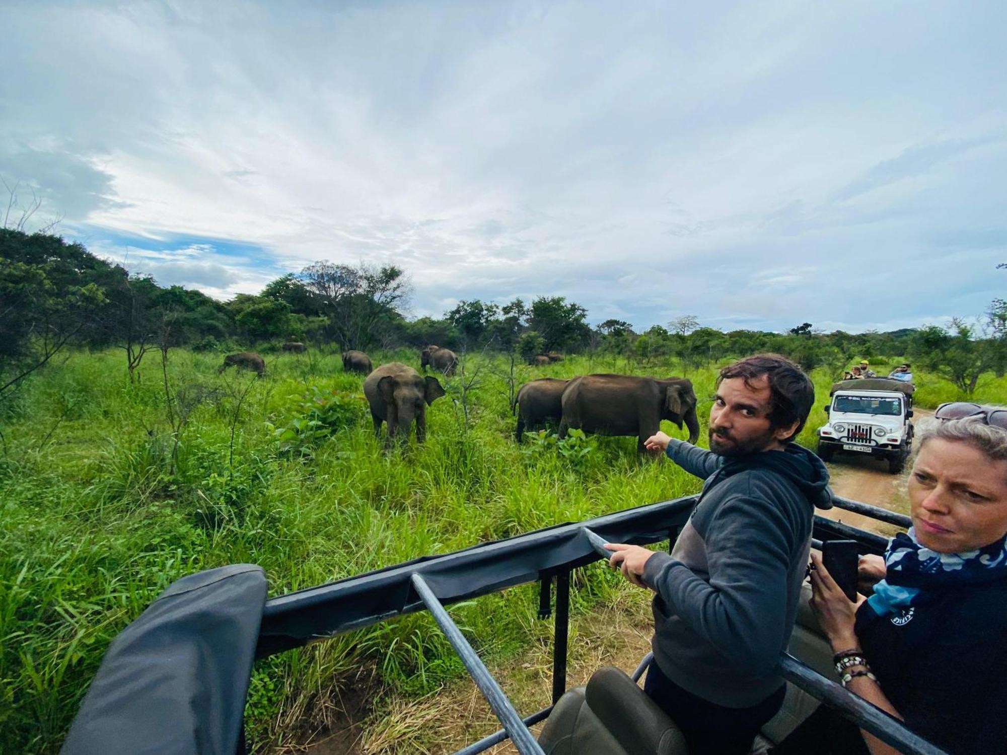 Minneriya Jeep Safari Хабарана Екстер'єр фото